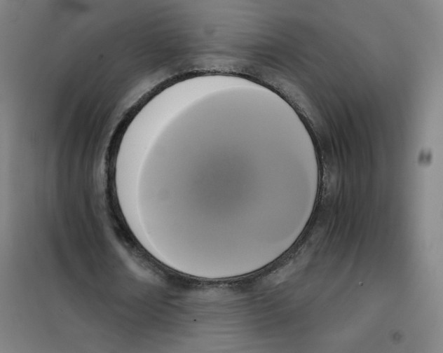 X0000101390674200808041017