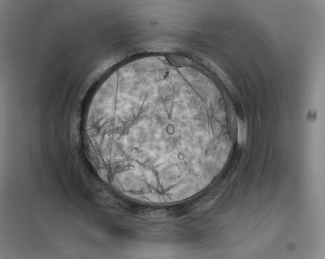 X0000101390675200808041017
