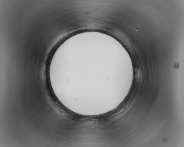 X0000101390676200808041017