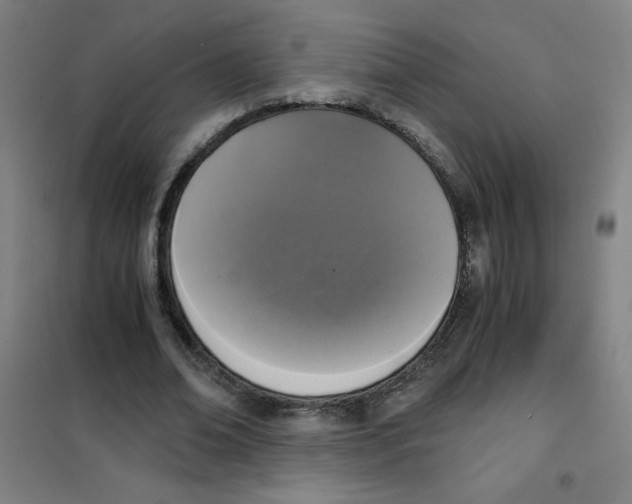 X0000101390678200808041017