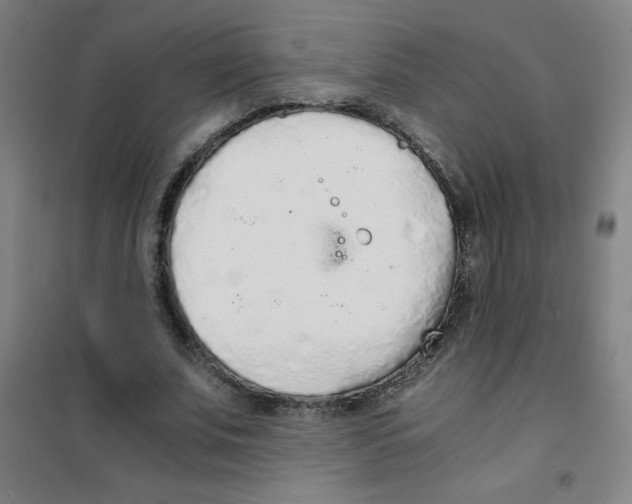 X0000101390679200808041017