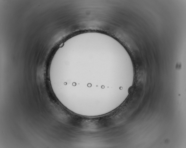 X0000101390680200808041017