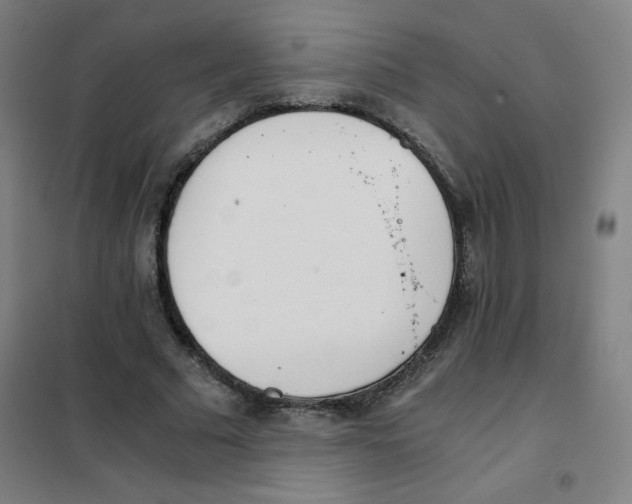 X0000101390681200808041017