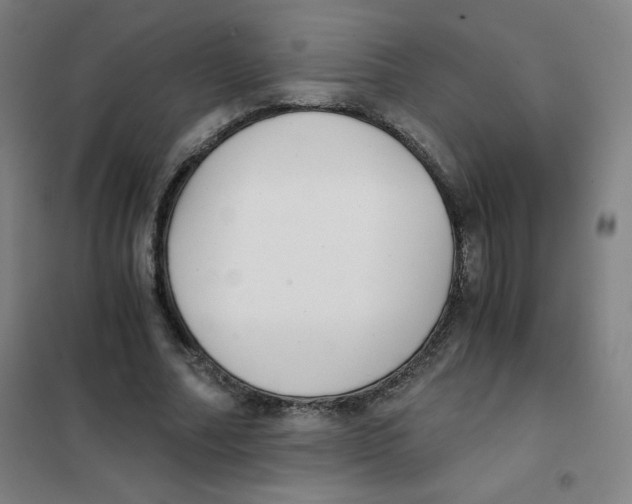 X0000101390682200808041017