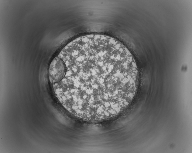 X0000101390683200808041017