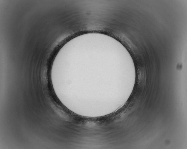 X0000101390684200808041017