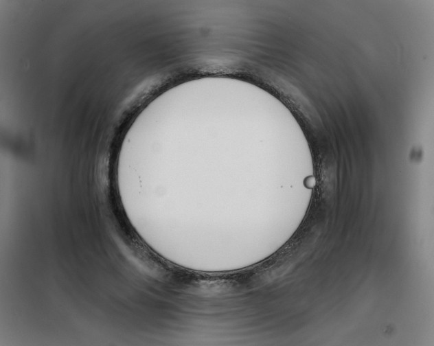 X0000101390686200808041017