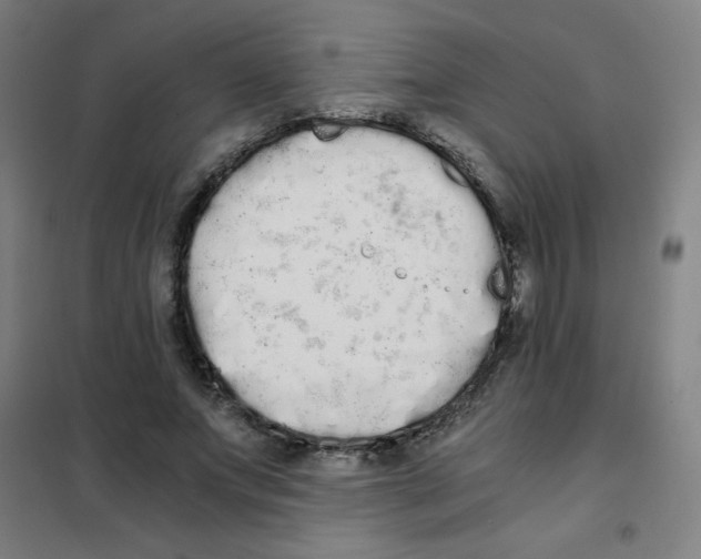 X0000101390687200808041017