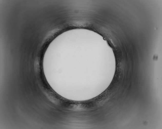 X0000101390688200808041017
