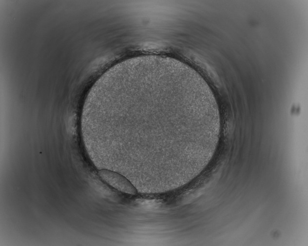 X0000101390689200808041017