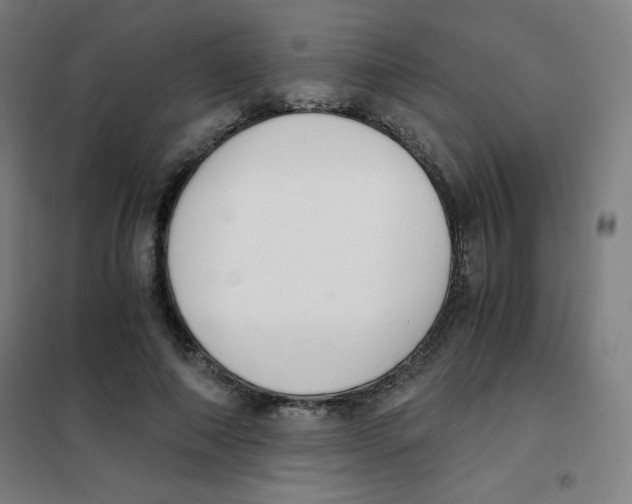 X0000101390690200808041017