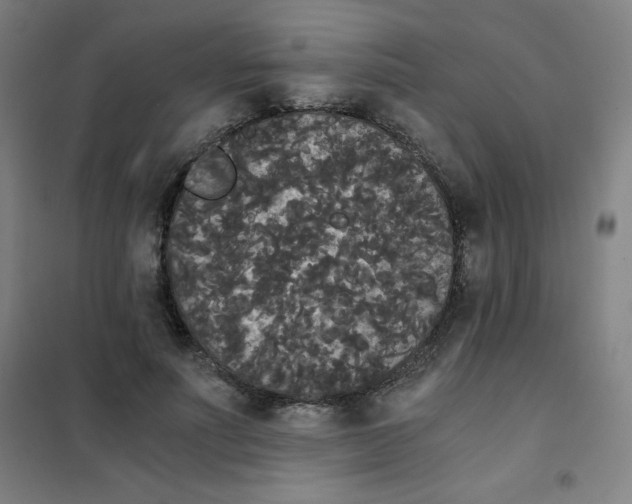 X0000101390691200808041017