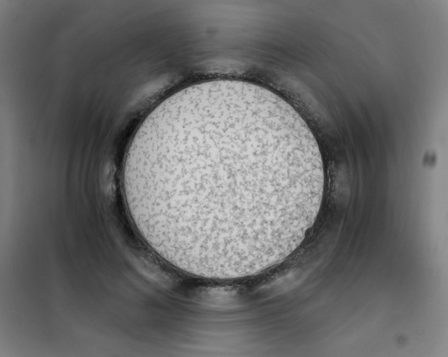 X0000101390692200808041017