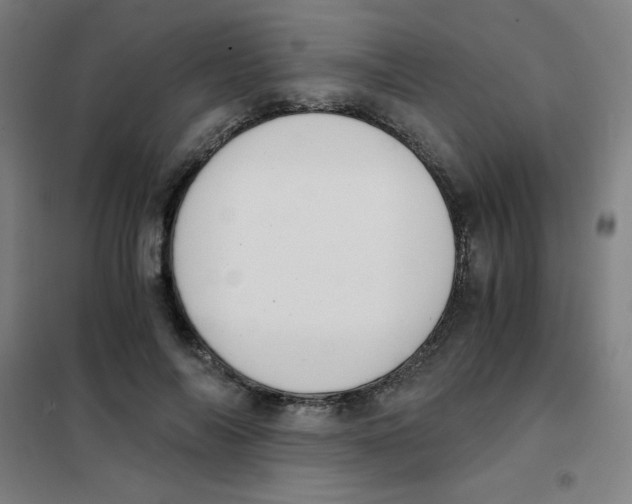 X0000101390694200808041017