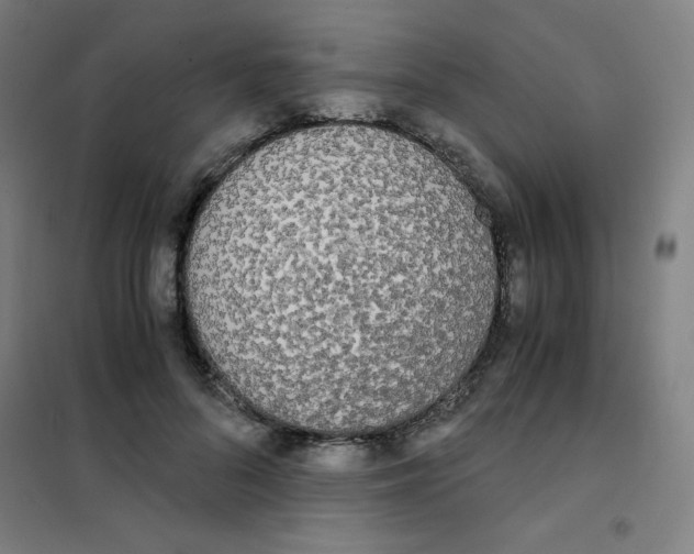 X0000101390696200808041017