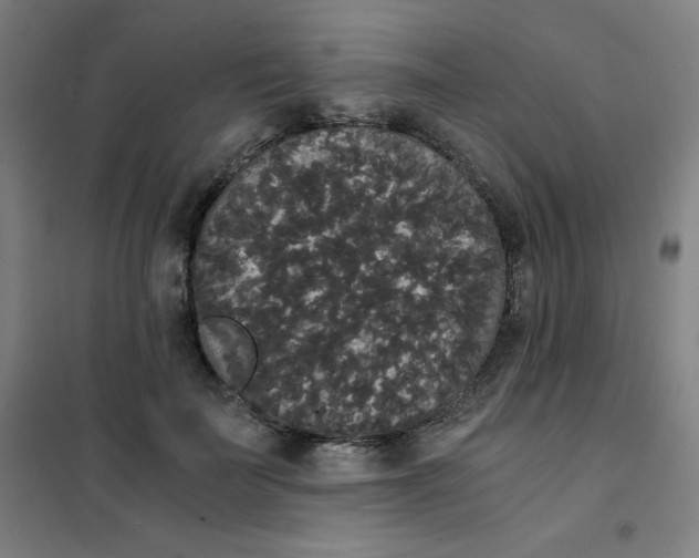 X0000101390699200808041017