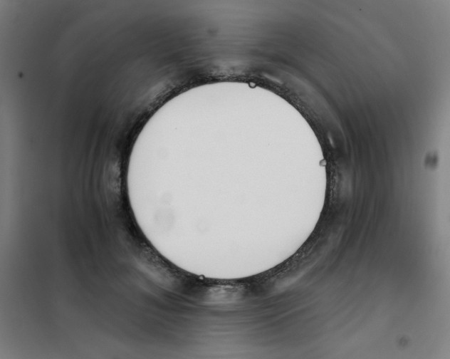 X0000101390700200808041017