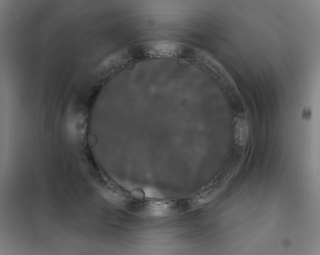 X0000101390701200808041017