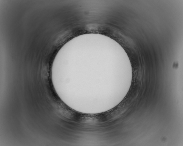 X0000101390702200808041017