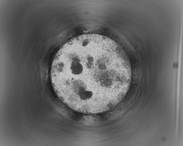 X0000101390703200808041017