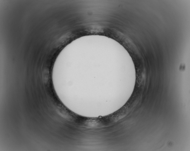 X0000101390704200808041017