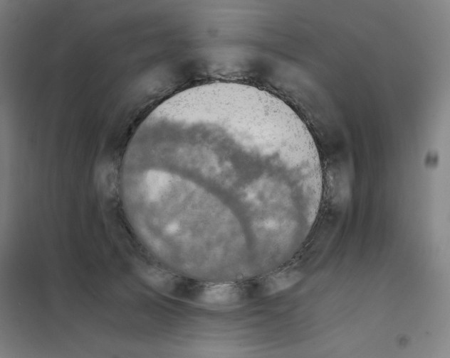 X0000101390705200808041017
