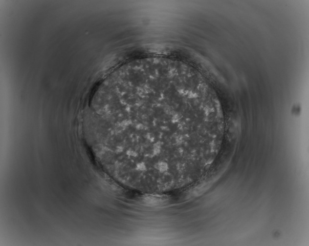 X0000101390707200808041017