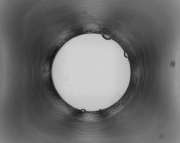 X0000101390708200808041017