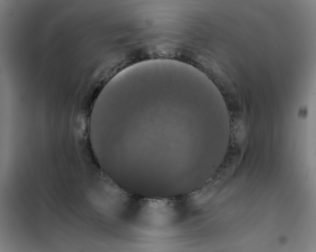 X0000101390709200808041017