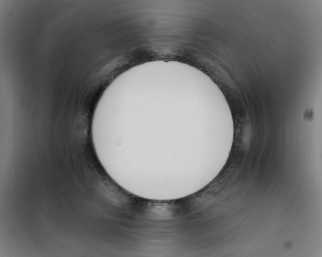 X0000101390710200808041017