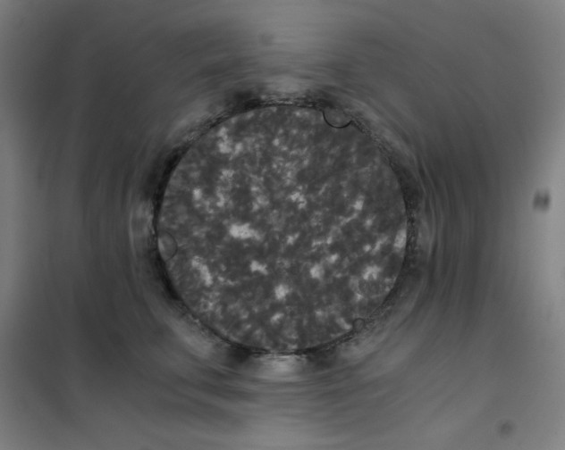 X0000101390711200808041017
