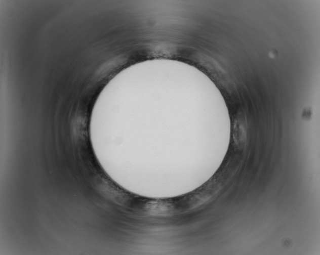 X0000101390714200808041017