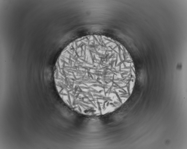 X0000101390715200808041017