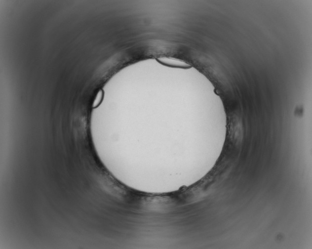 X0000101390716200808041017