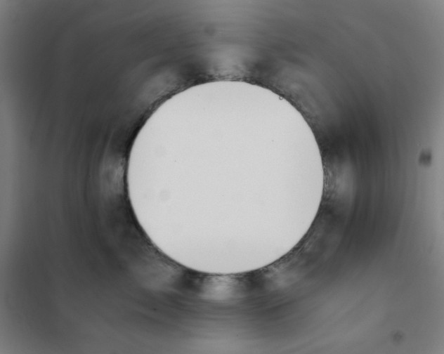 X0000101390717200808041017