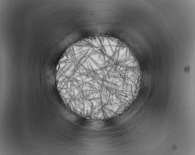 X0000101390719200808041017