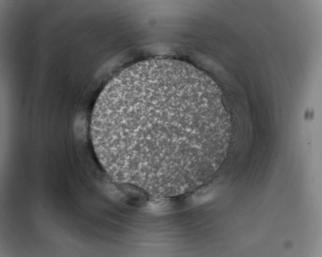 X0000101390720200808041017