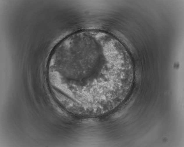 X0000101390721200808041016