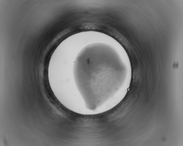 X0000101390722200808041016