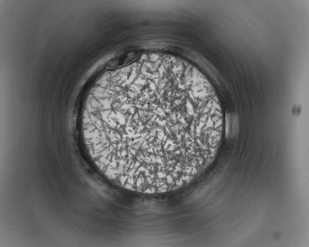 X0000101390723200808041016
