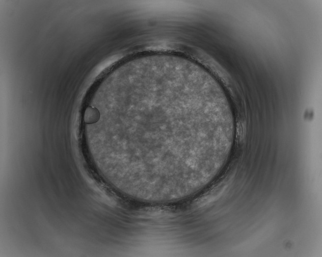 X0000101390724200808041016
