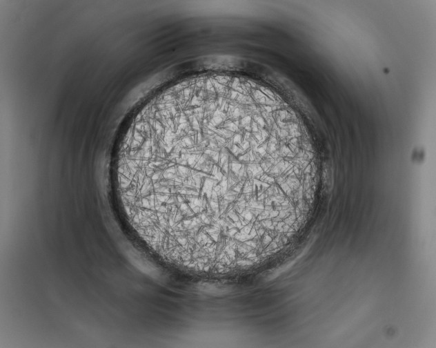 X0000101390725200808041016