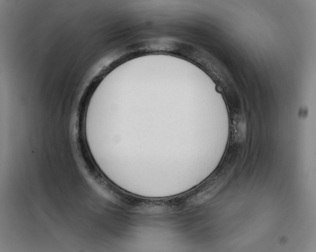 X0000101390726200808041016