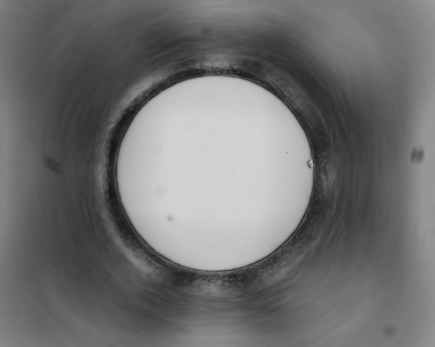 X0000101390728200808041016
