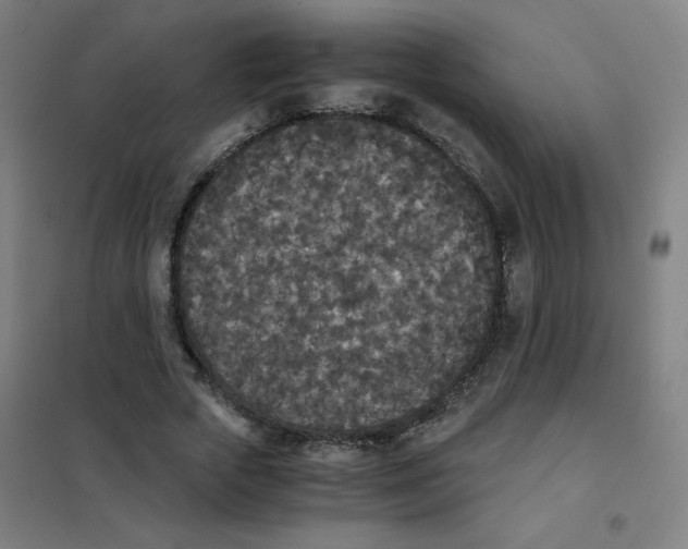X0000101390729200808041016