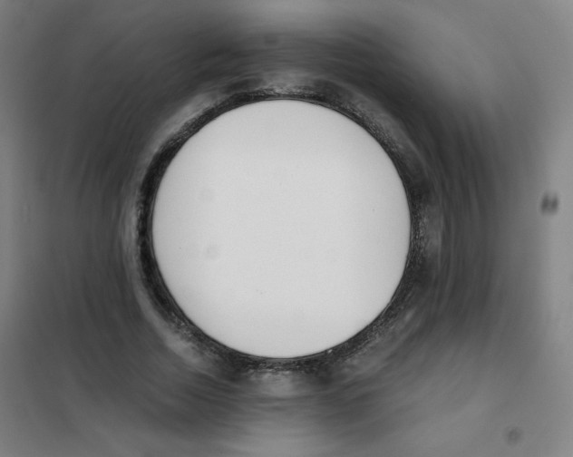 X0000101390730200808041016