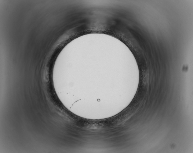 X0000101390731200808041016