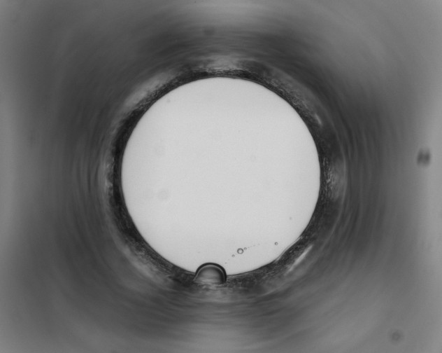 X0000101390732200808041016