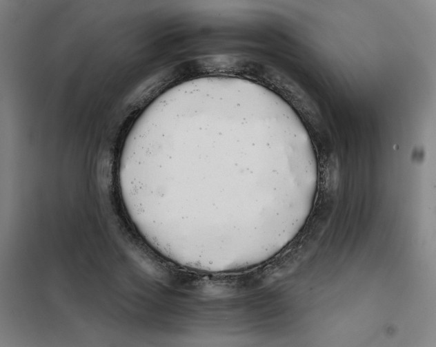 X0000101390733200808041016