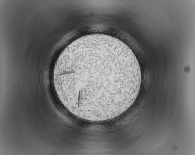 X0000101390734200808041016